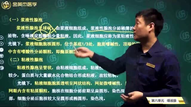 口腔组织病理学:唾液腺的作用,涎腺的基本结构组成,腺泡的分类和作用.