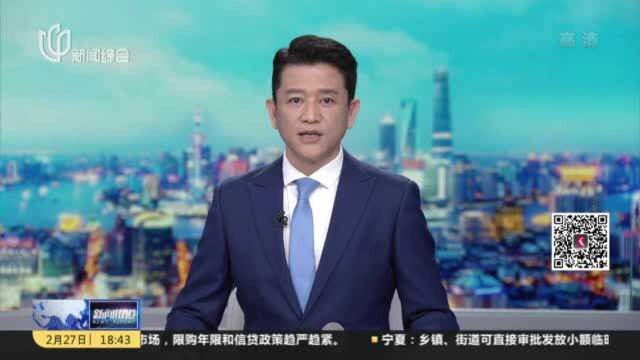 普陀:由下至上 正式开启数字化转型“试验田”