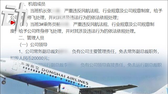 东海航空通报“机组人员飞机上发生纠纷”:机长和乘务员终身停飞