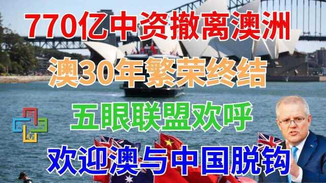 770亿中资撤离澳洲,澳30年繁荣终结!五眼欢呼:欢迎澳与中国脱钩!