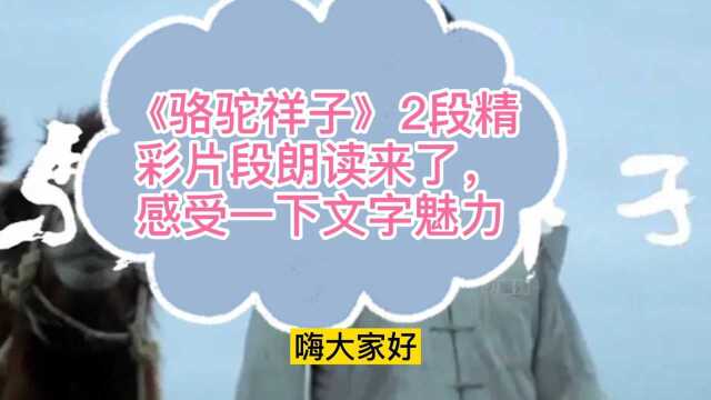 《骆驼祥子》两段精彩片段朗读来了,感受一下文字魅力