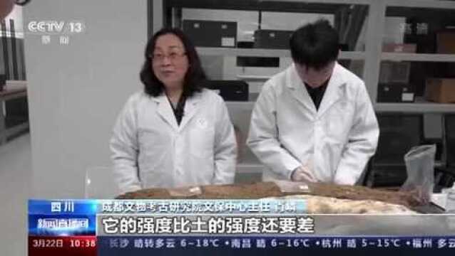 三星堆出土象牙如何保存?“贴面膜”“穿新衣”