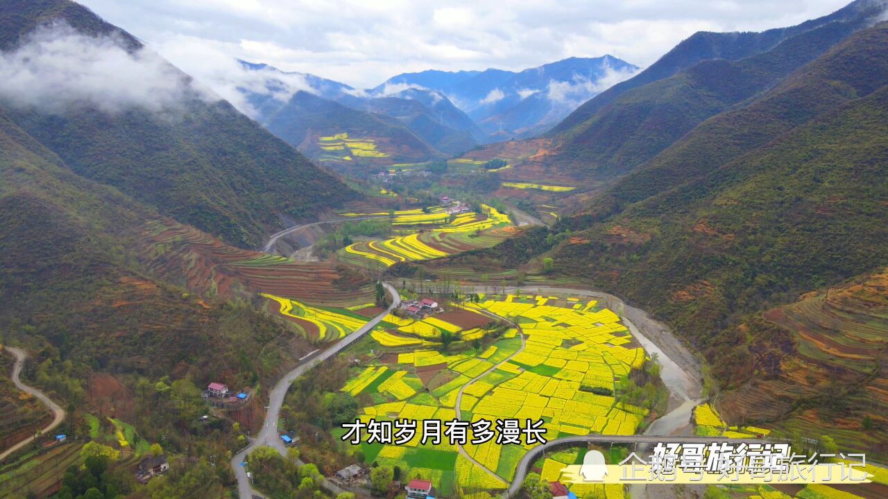 最美油菜花海,汉中旅游文化节,略阳分会启动仪式