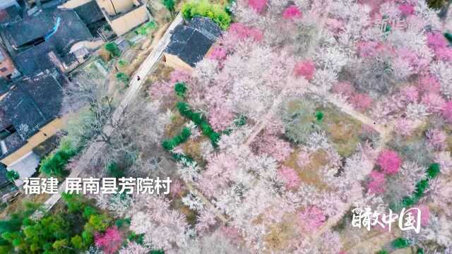 瞰中国|一周精选