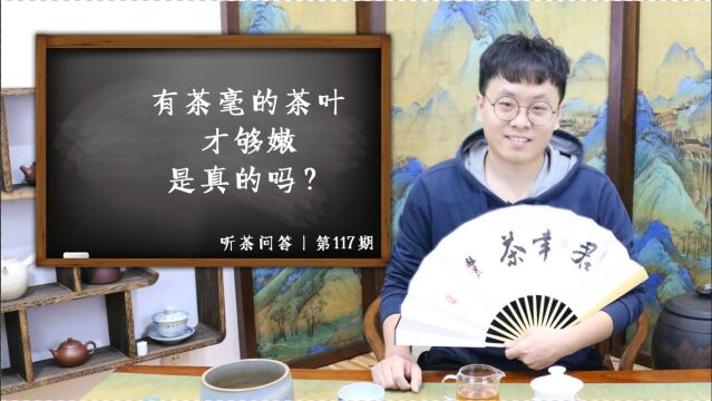 听茶问答丨有茶毫的茶叶才够嫩,是真的吗?