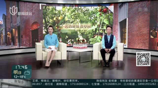 睦邻中心春意浓 芳香秘境“百草园”