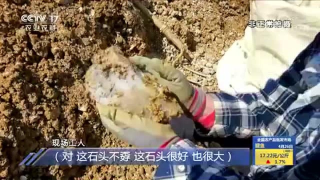 江苏东海:盗采者有恃无恐 监管部门形同虚设