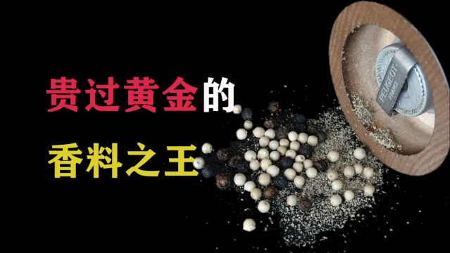 风靡4000年的香料之王胡椒,到底有多神奇?价值超过黄金,比金币还好用