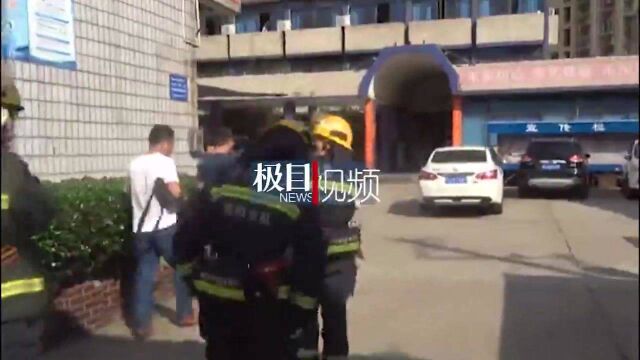 【视频】惊险,大花蛇盘踞男厕