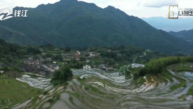 云和:无中生有造“海景”,因势利导建“梯田”