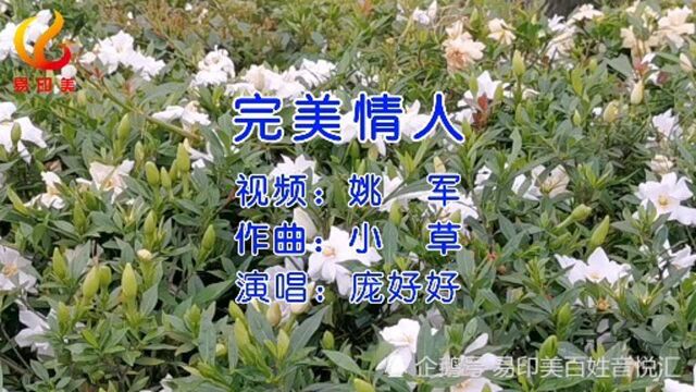 520美女一首非常流行好听歌曲(完美情人)希望你的爱情也完美