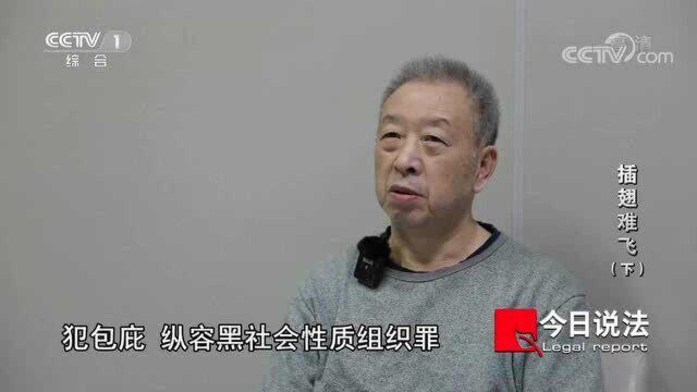 黑社会团伙被抓,背后的“保护伞”,也别想好过!