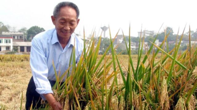 《袁隆平》民以食为天.很好的片子,看得流泪.