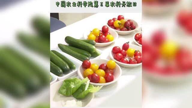 那都是中国农业科学院的科研成果!