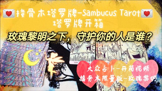 黑猫塔罗牌开箱接骨木塔罗牌Sambucus Tarot