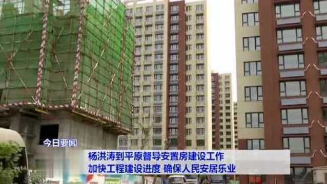 杨洪涛到平原督导安置房建设工作