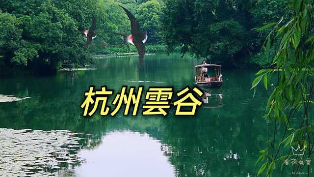 杭州三台山的云谷林木葱郁,风光旖旎,曲径通幽,如诗如画