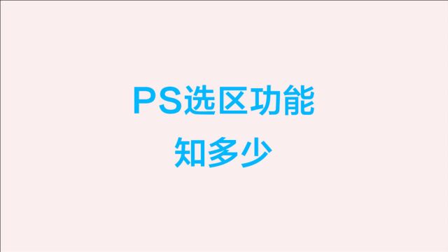 PS选区知识详细基础教程,小白也可以轻松上手熟练使用各种选区工具