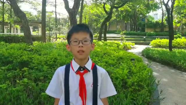 黄冈小学学子获得“少年评论员”征文大赛一等奖