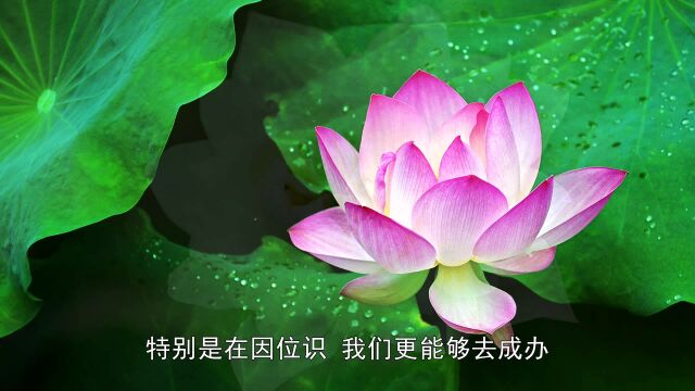 [感念法恩]字幕版—悟光法师开示