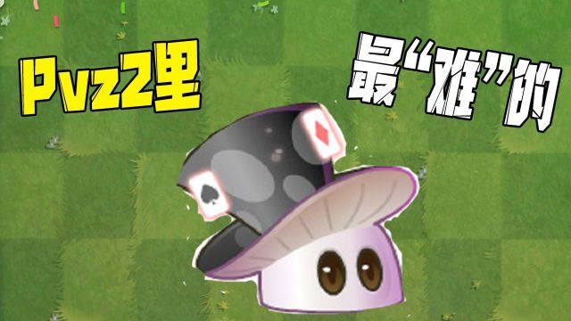 植物大战僵尸:魔术菇!pvz2里最“南”的植物!