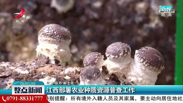 江西部署农业种质资源普查工作