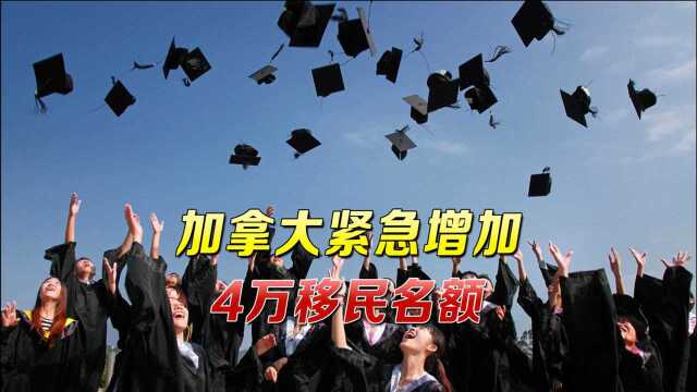 中国留学生毕业后纷纷选择回国!加拿大政府急了,出台新政策挽留