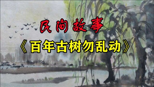 民间故事:《百年古树勿乱动》事情发生在河南的一个小农村