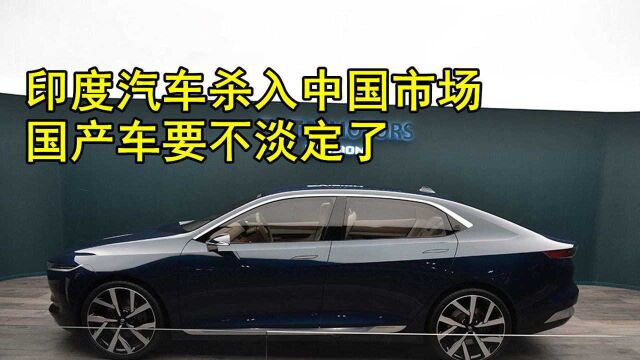 印度汽车杀入中国市场!新车售价2.88万起?网友:要量不要命