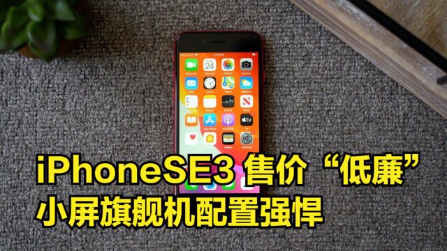 苹果新机iPhoneSE3,小屏旗舰机配置强悍,售价“低廉”