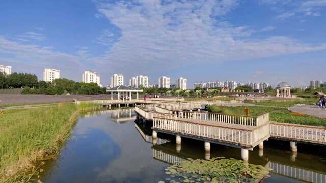 紫金花海,金昌市最靓丽的风景