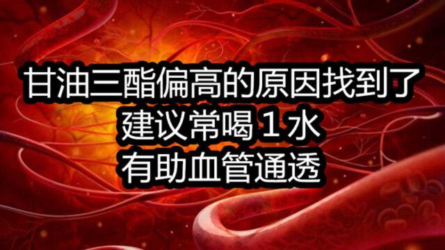 甘油三酯偏高的原因找到了,建议常喝1水,有助血管通透