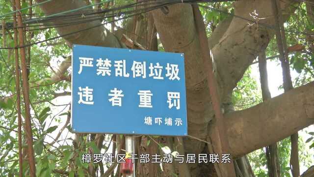 樟木头新闻2021年7月12日 