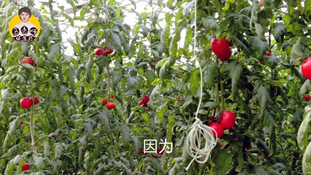 这种食物“抗癌高手”,比吃药还管用!每天吃一个,4个好处找上你!