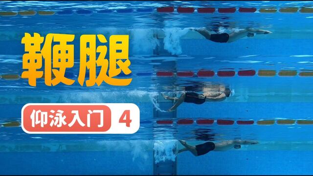 【仰泳入门】4.鞭腿的本质,两个动作搞清楚鞭腿怎么踢|梦觉教游泳