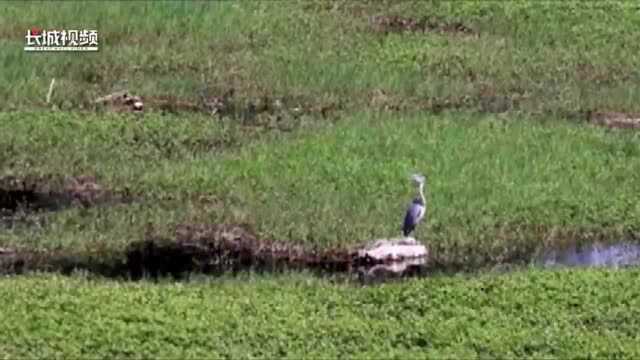 河北峰峰:矿区变景区 “煤城”换新颜