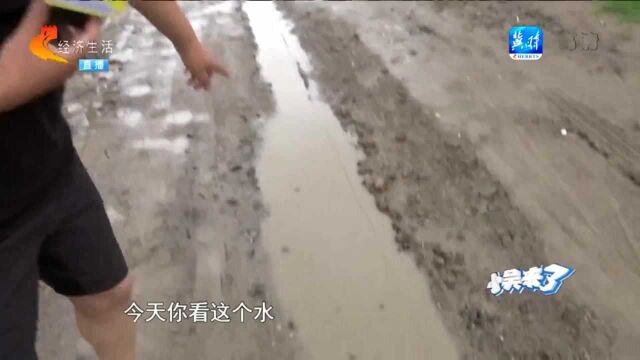 唐山玉田:道路泥泞不堪,下雨积水能有一尺深,村民自嘲“养鱼”