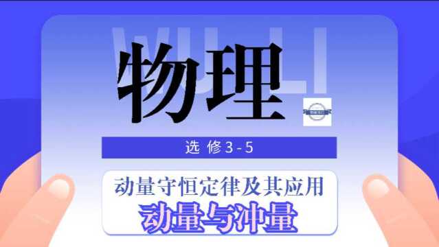 【高中物理】动量守恒定律及其应用——动量与冲量