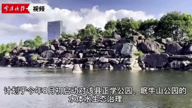 美!宁海这两处“水下森林”,等你来打卡