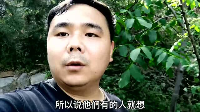 你还敢回农村投资民宿?小心找不到后悔药.带你看倒闭的民宿惨状