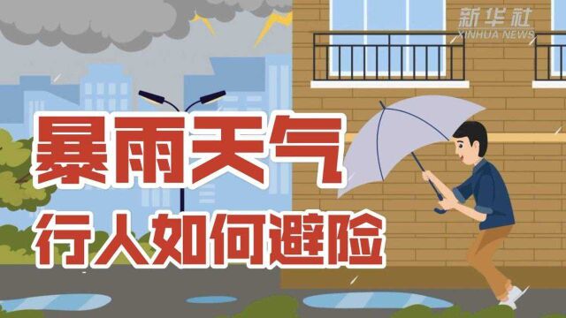 科画丨暴雨天气,行人如何避险?