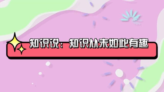 滇金丝猴有什么特点?