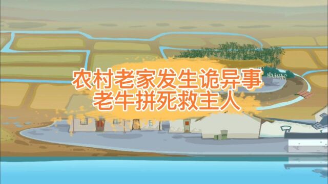 农村诡事:家里的牛预知主人大锅临头.拼死保护主人(网友投稿真实经历)