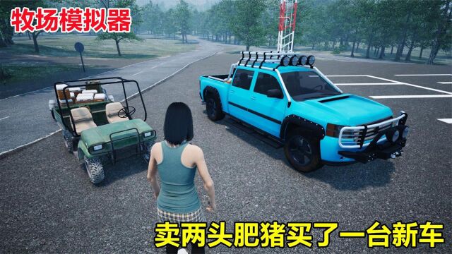 牧场模拟器Ranch Simulator:肥猪又死掉了,再次打猎赚钱买小猪