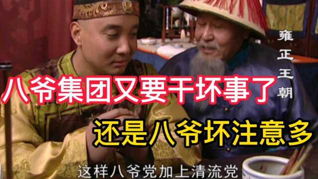 雍正王朝:八爷集团聚在一起准备利用李绂,结果八王爷却阻止了他们