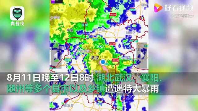 【湖北多地遭特大暴雨引发内涝,会游泳有用吗?】8月11日至12日,湖北武汉、襄阳、随州、孝感、黄冈等多个地区遭遇特大暴雨.襄阳宜城市莺河雨量甚...