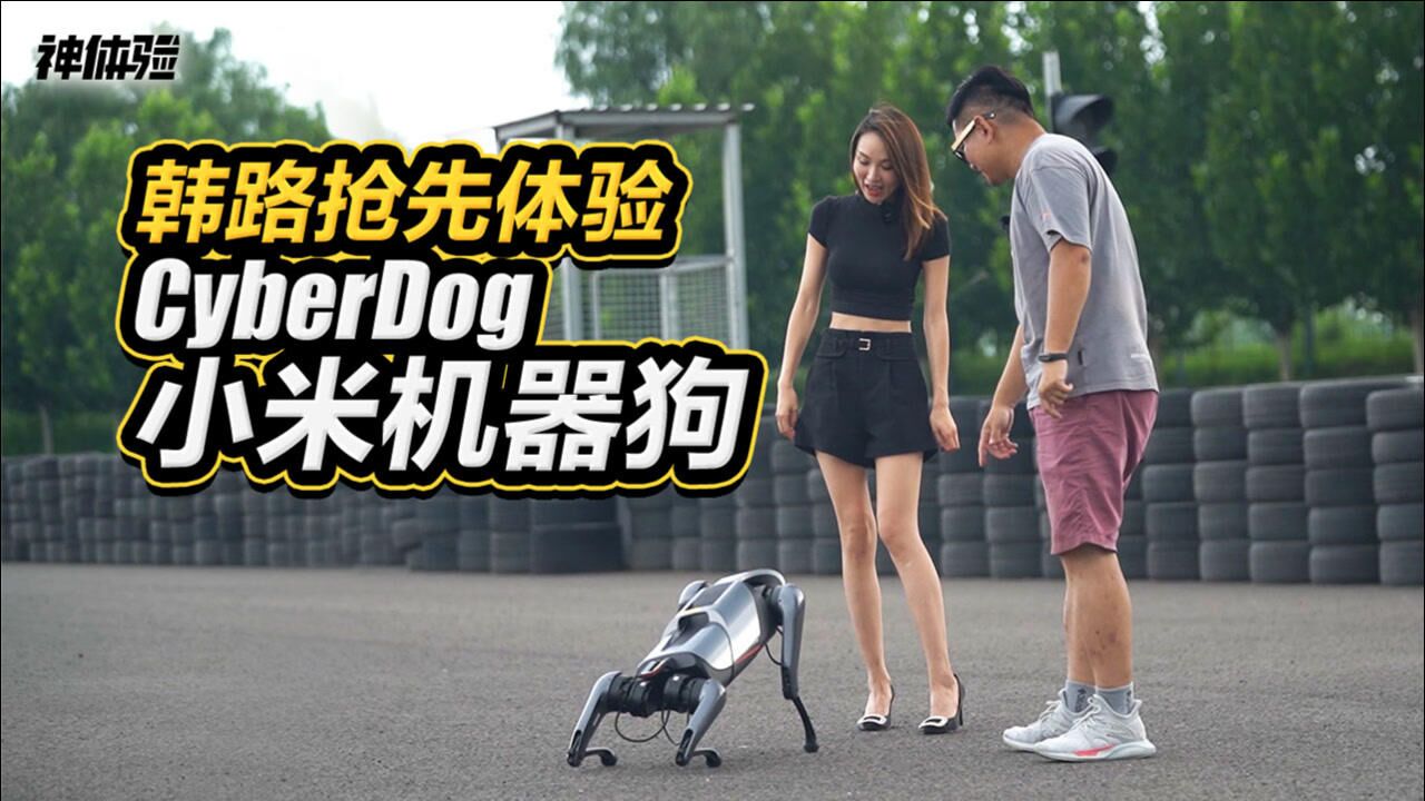 韩路抢先体验CyberDog小米机器狗