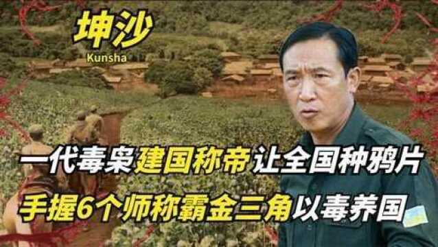 坤沙一代毒枭建国称帝,下令全国种鸦片,手握6个师称霸金三角