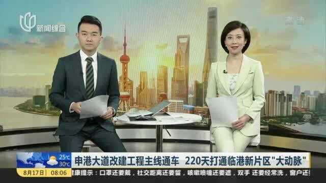 申港大道改建工程主线通车 220天打通临港新片区“大动脉”