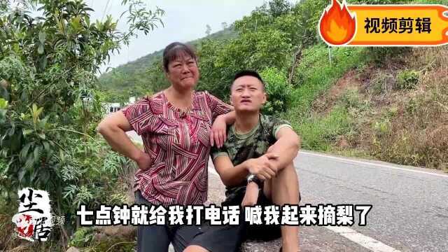 亲戚家水果成熟了,老妈一早就拉上弟弟去帮着,姑侄俩对话太搞笑